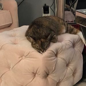 Meet your Posher, Chantal